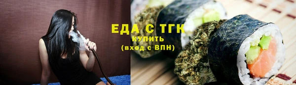 индика Новозыбков