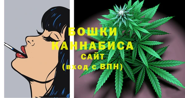 спиды Новодвинск